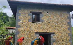 Casa Doña Lola
